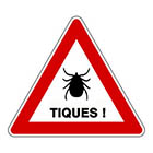 Tiques